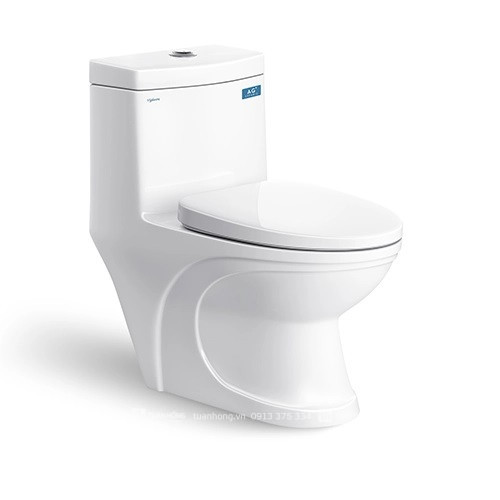 BỒN CẦU 1 KHỐI VIGLACERA V39M