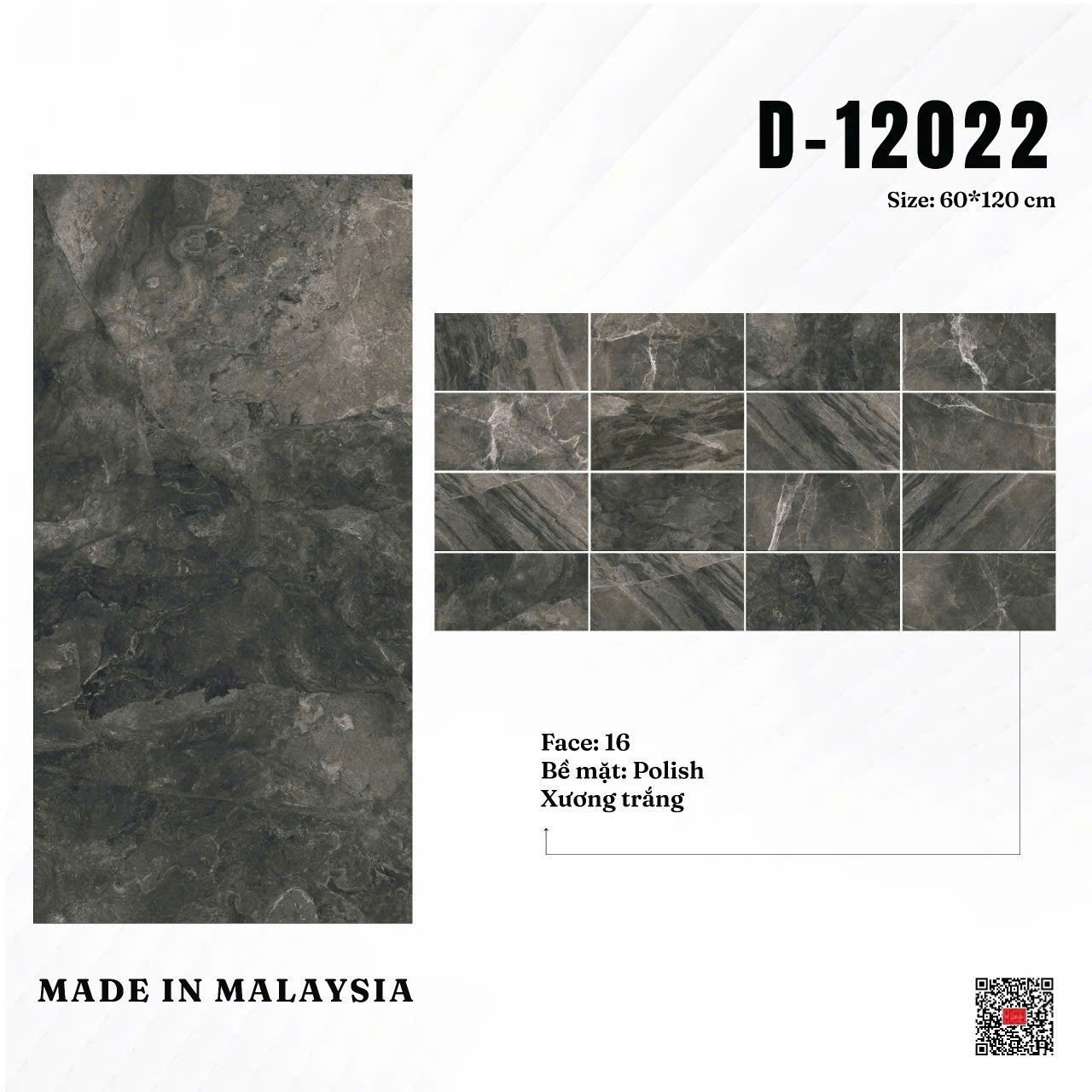 Gạch ốp lát D-12022