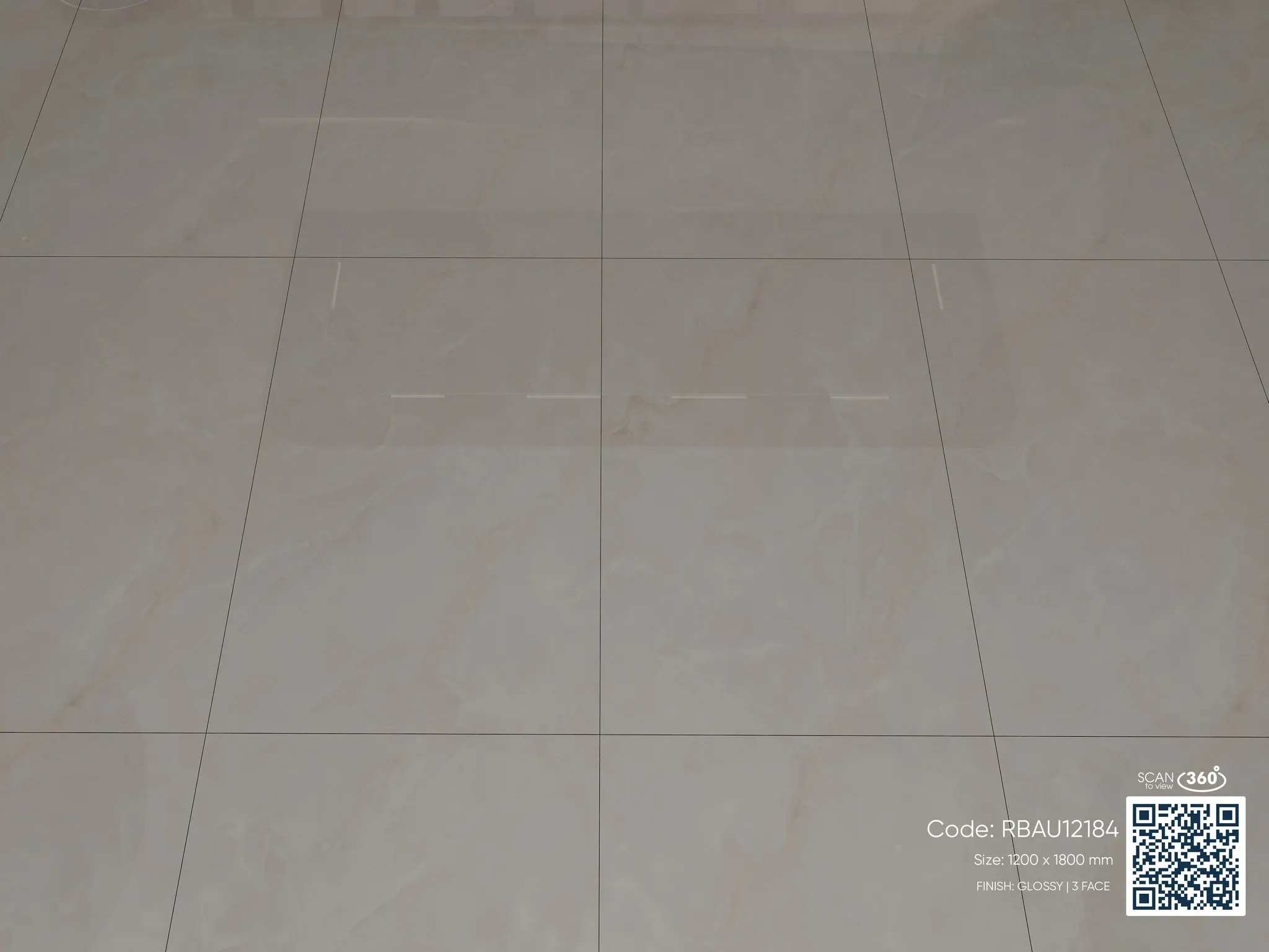 Gạch ốp lát RBAU12184 - Ảnh 2